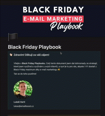 Black Friday Playbook
